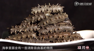 孝敬父母，為何首選海參？